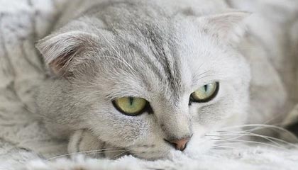 开云娱乐：开启极致娱乐新纪元