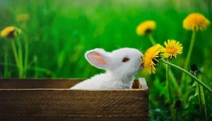 华体会安全通道——畅享极致安全体验